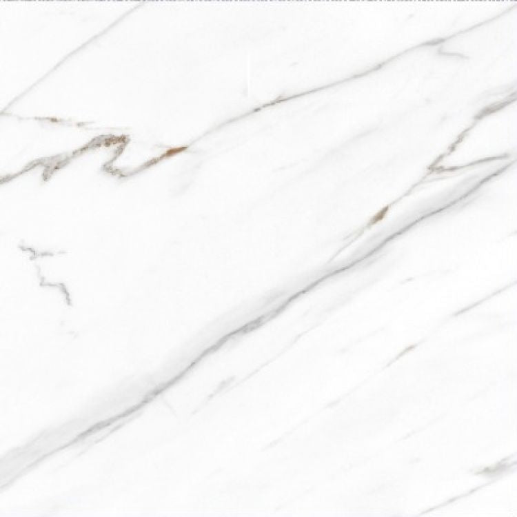 AGL Carrara Matte 24 x 24