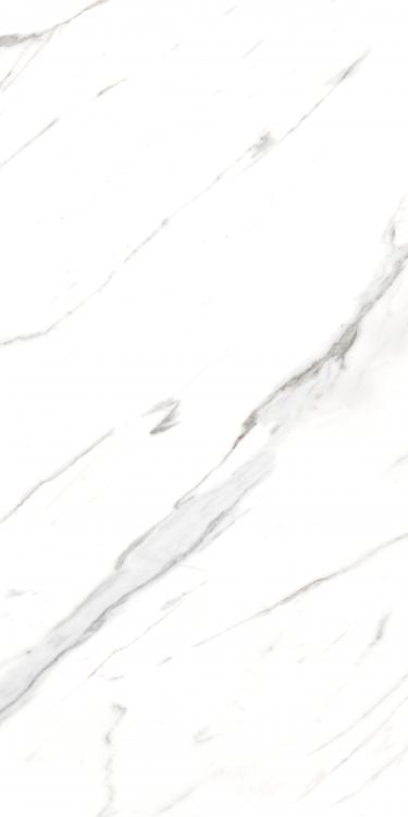 AGL Carrara Matte 24 x 48