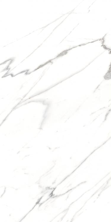AGL Carrara Matte 24 x 48