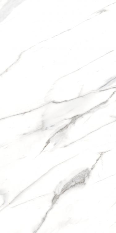 AGL Carrara Matte 24 x 48