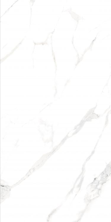 AGL Statuario Tile Matte 24 x 48