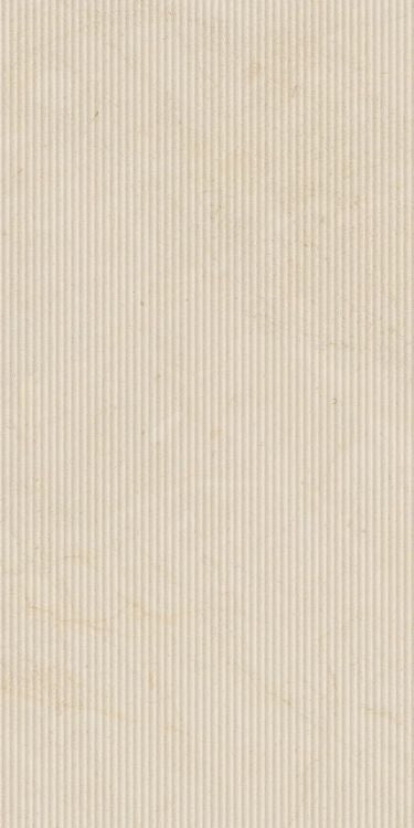 Biotech Crema Stone Cannette 24 x 48
