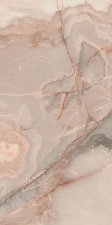 Reves Rose Matte 24 x 48