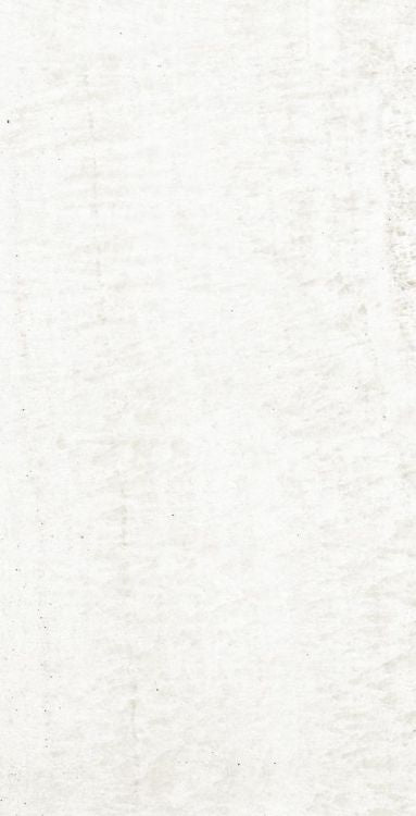 OL Onyx White Polished 12 x 24