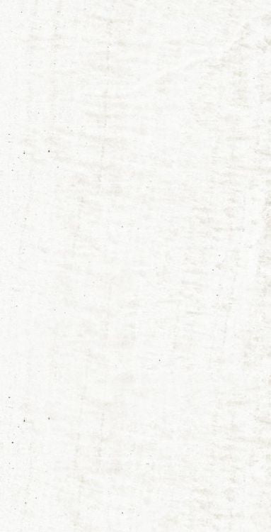 OL Onyx White Polished 12 x 24