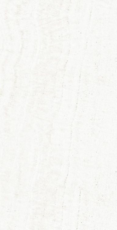 OL Onyx White Tile Polished 12 x 24
