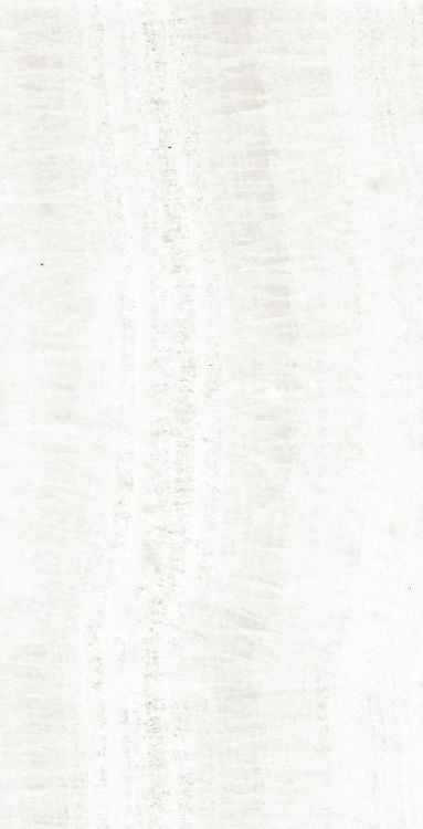 OL Onyx White Matte 12 x 24