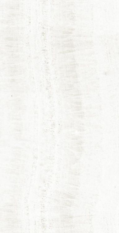 OL Onyx White Matte 12 x 24