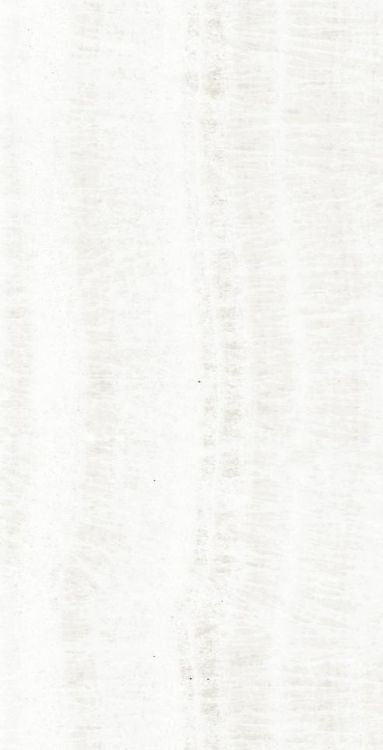 OL Onyx White Matte 12 x 24