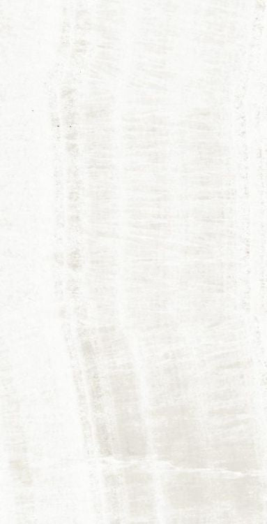 OL Onyx White Matte 12 x 24