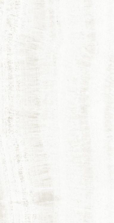OL Onyx White Matte 12 x 24