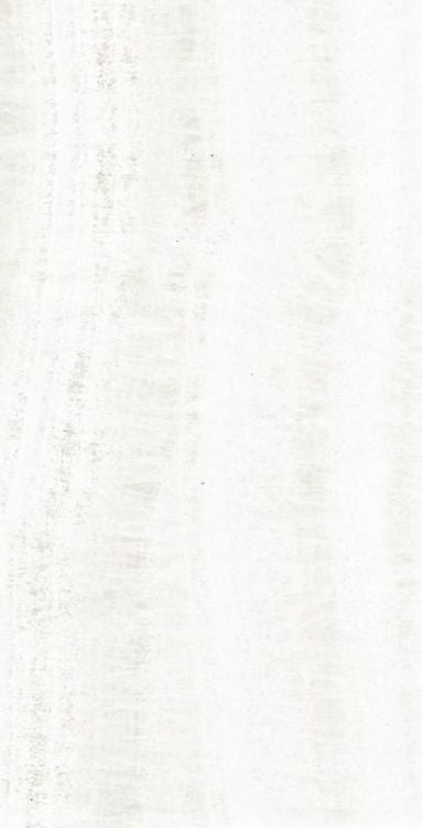 OL Onyx White Matte 12 x 24