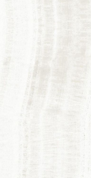 OL Onyx White Matte 12 x 24