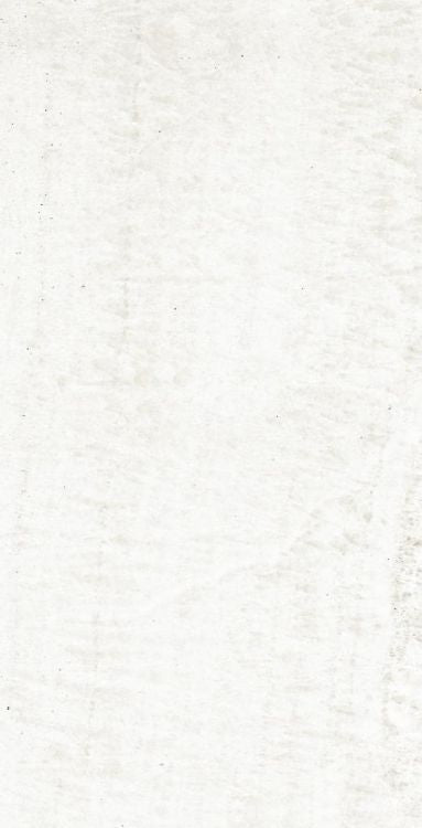 OL Onyx White Matte 12 x 24