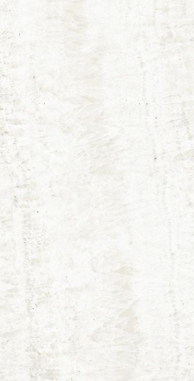 OL Onyx White Matte 12 x 24