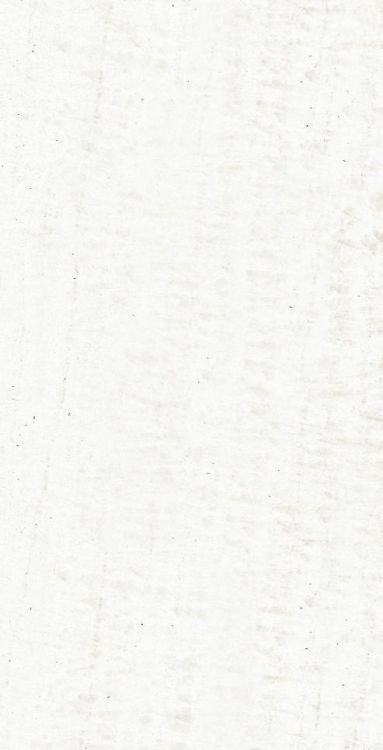 OL Onyx White Matte 12 x 24