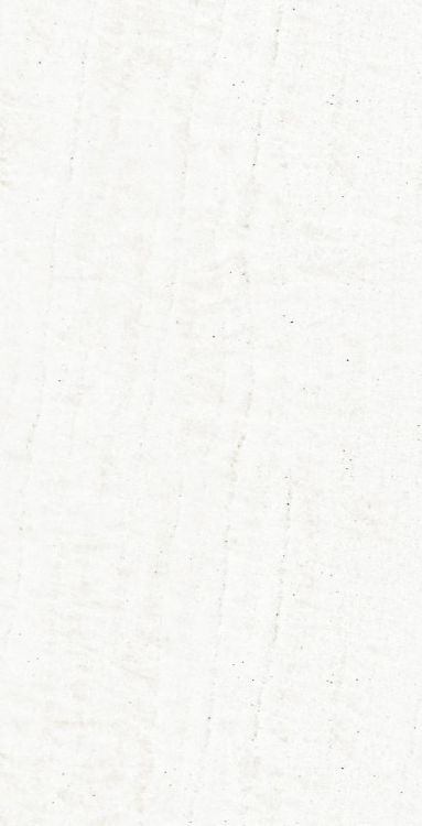 OL Onyx White Matte 12 x 24