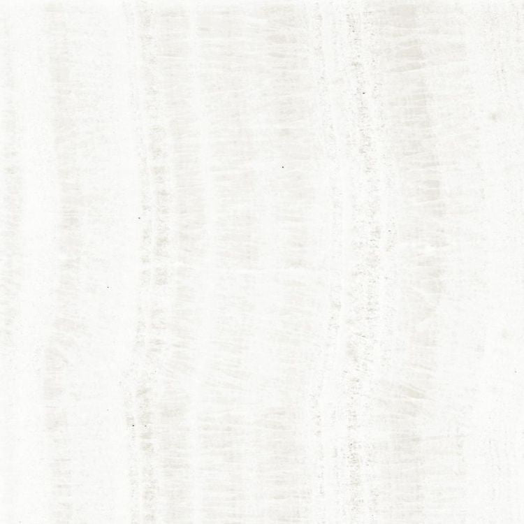 OL Onyx White Matte 24 x 24
