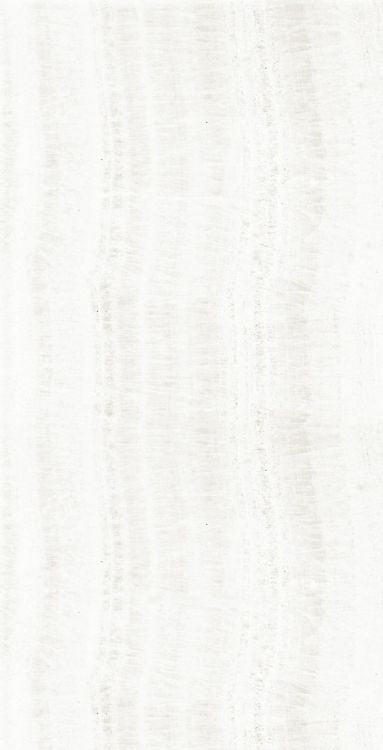 OL Onyx White Matte 24 x 48