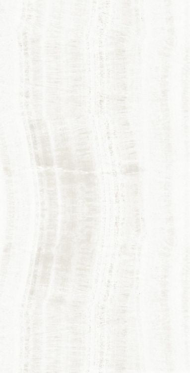 OL Onyx White Matte 24 x 48