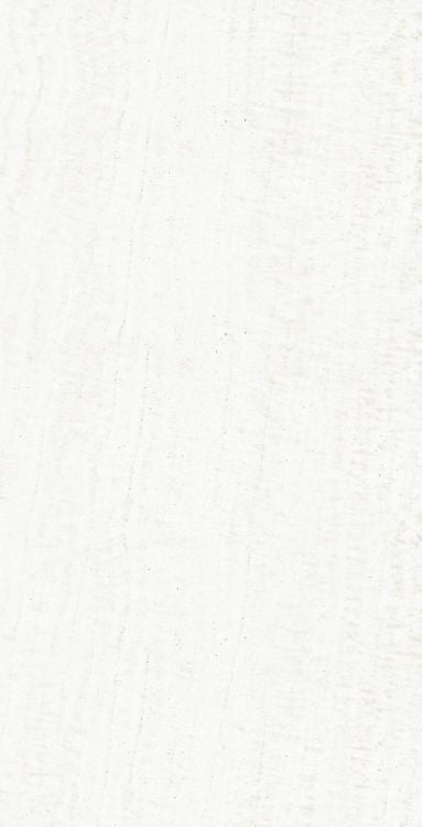 OL Onyx White Matte 24 x 48