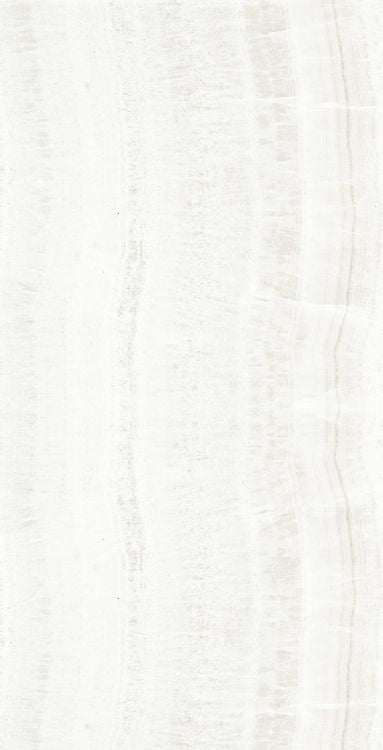 OL Onyx White Matte 24 x 48