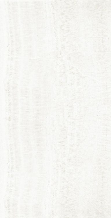 OL Onyx White Matte 24 x 48