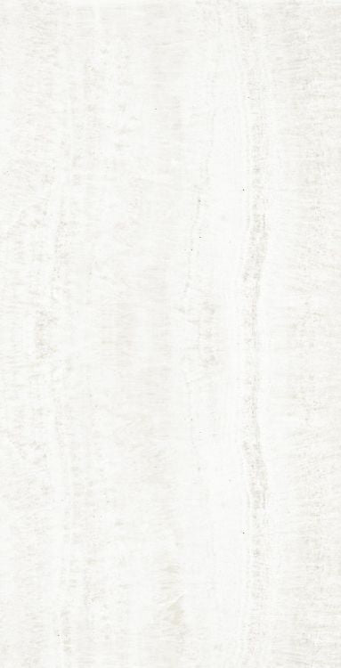 OL Onyx White Matte 24 x 48