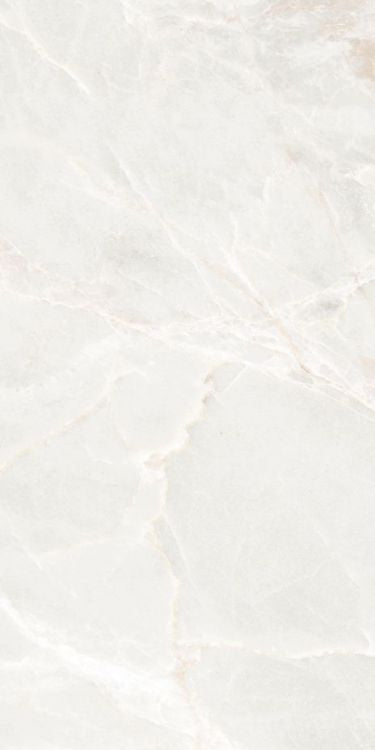 Brasilia White Polished 12 x 24