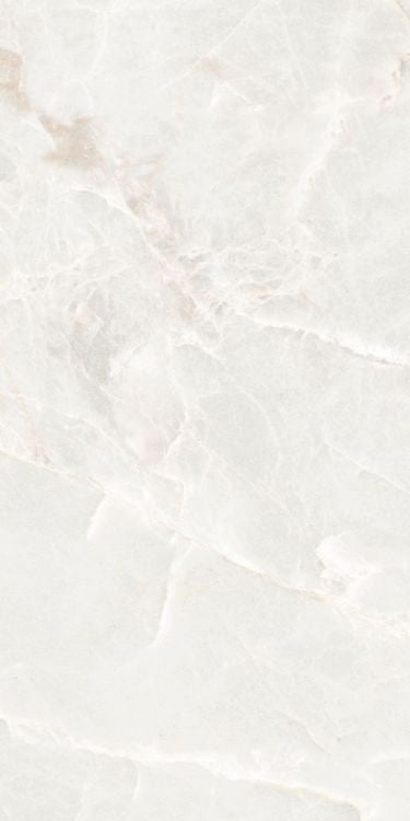 Brasilia White Polished 12 x 24