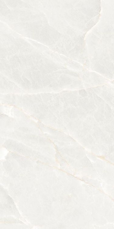 Brasilia White Polished 12 x 24