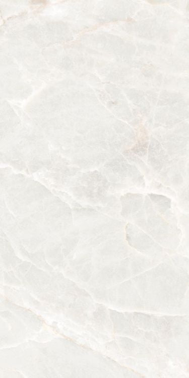 Brasilia White Polished 12 x 24