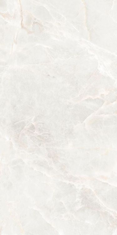 Brasilia White Polished 12 x 24