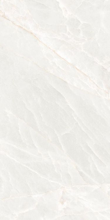 Brasilia White Polished 12 x 24