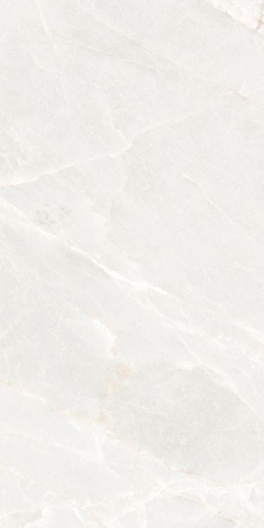 Brasilia White Polished 12 x 24