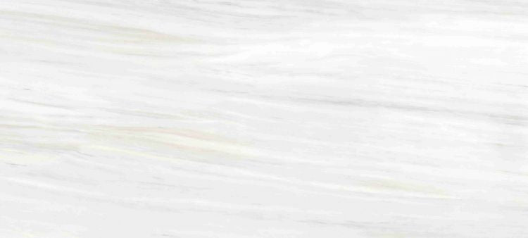 Origines De Rex Ombre Doree Glossy 6MM 47 x 110