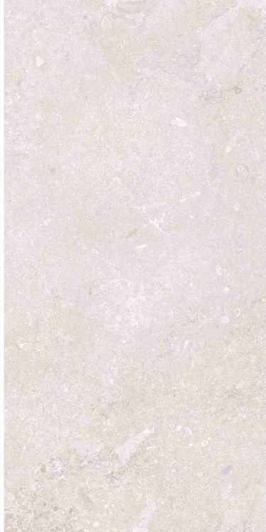 OL Port Land Stone Bianco Tile Matte 12 x 24