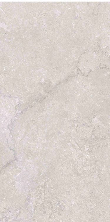 OL Port Land Stone Greige Matte 12 x 24