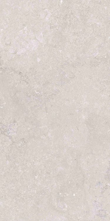 OL Port Land Stone Greige Tile Matte 12 x 24