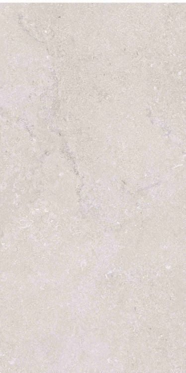 OL Port Land Stone Greige Matte 12 x 24