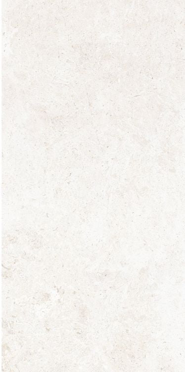 OL Limestone Bianco Matte 12 x 24