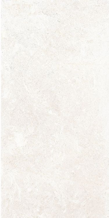 OL Limestone Bianco Matte 12 x 24