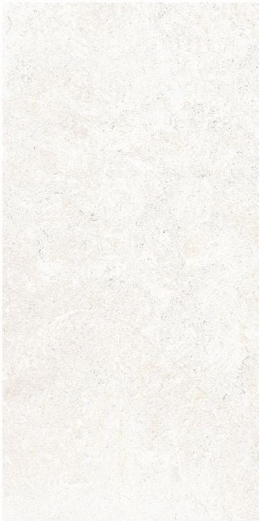 OL Limestone Bianco Matte 12 x 24