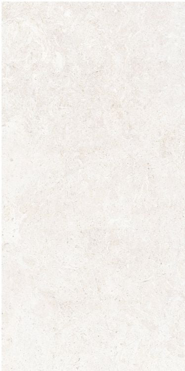 OL Limestone Bianco Matte 12 x 24