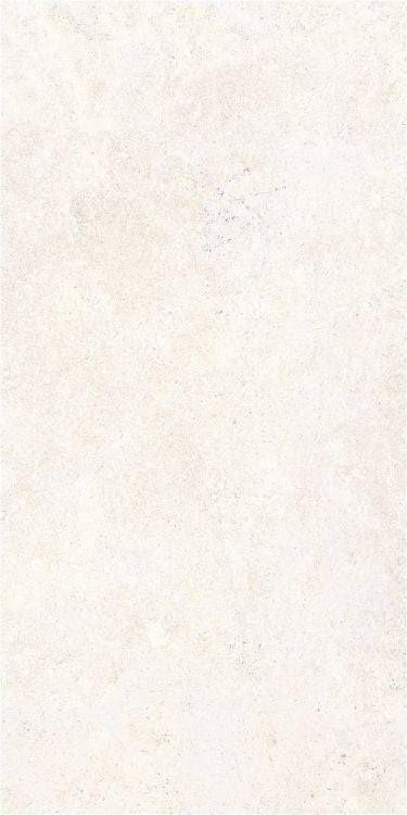 OL Limestone Bianco Matte 24 x 48