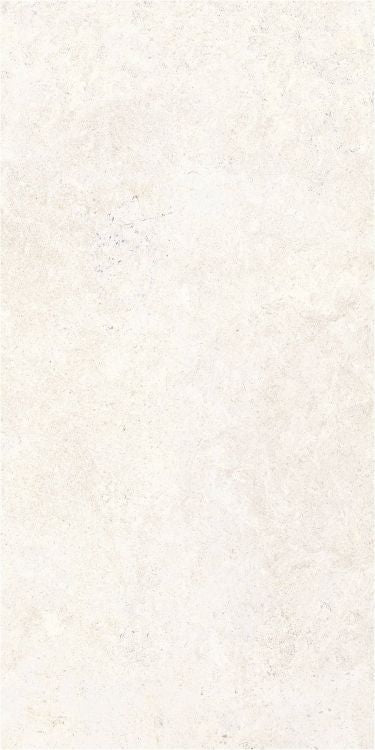 OL Limestone Bianco Matte 24 x 48