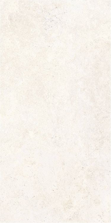 OL Limestone Bianco Matte 24 x 48