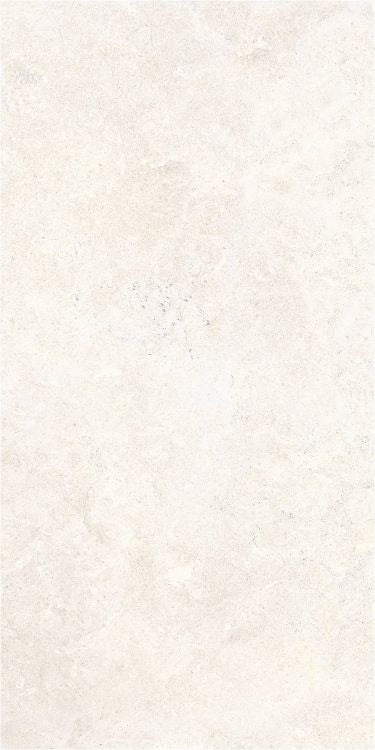 OL Limestone Bianco Matte 24 x 48