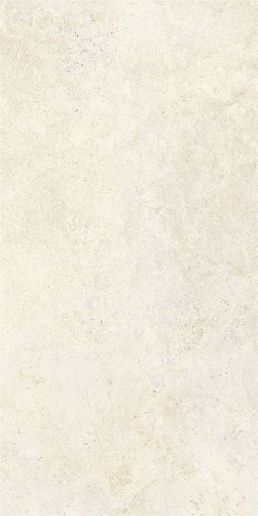 OL Limestone Avorio Matte 24 x 48