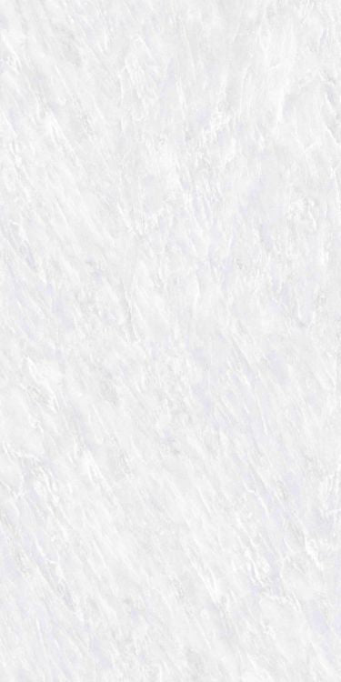 OL Vivid White Tile Polished 24 x 48